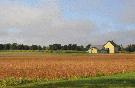 Central Experimental Farm National Historic Site Richard Hinchcliffe